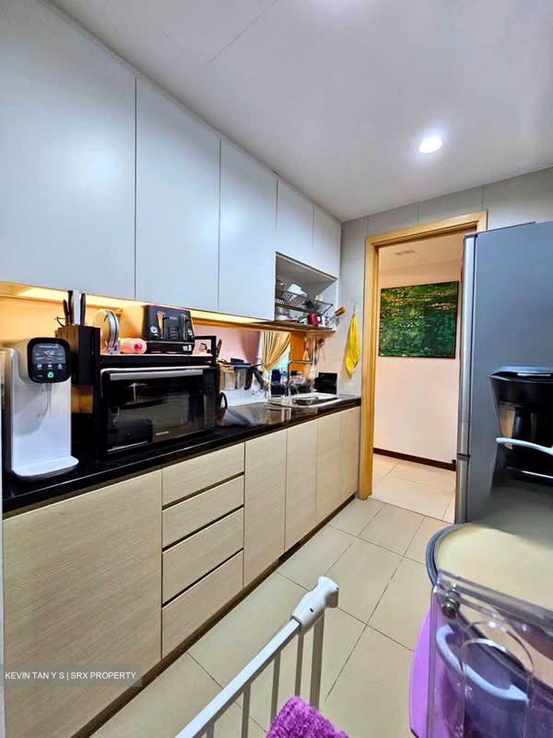 A Treasure Trove (D19), Condominium #587764811